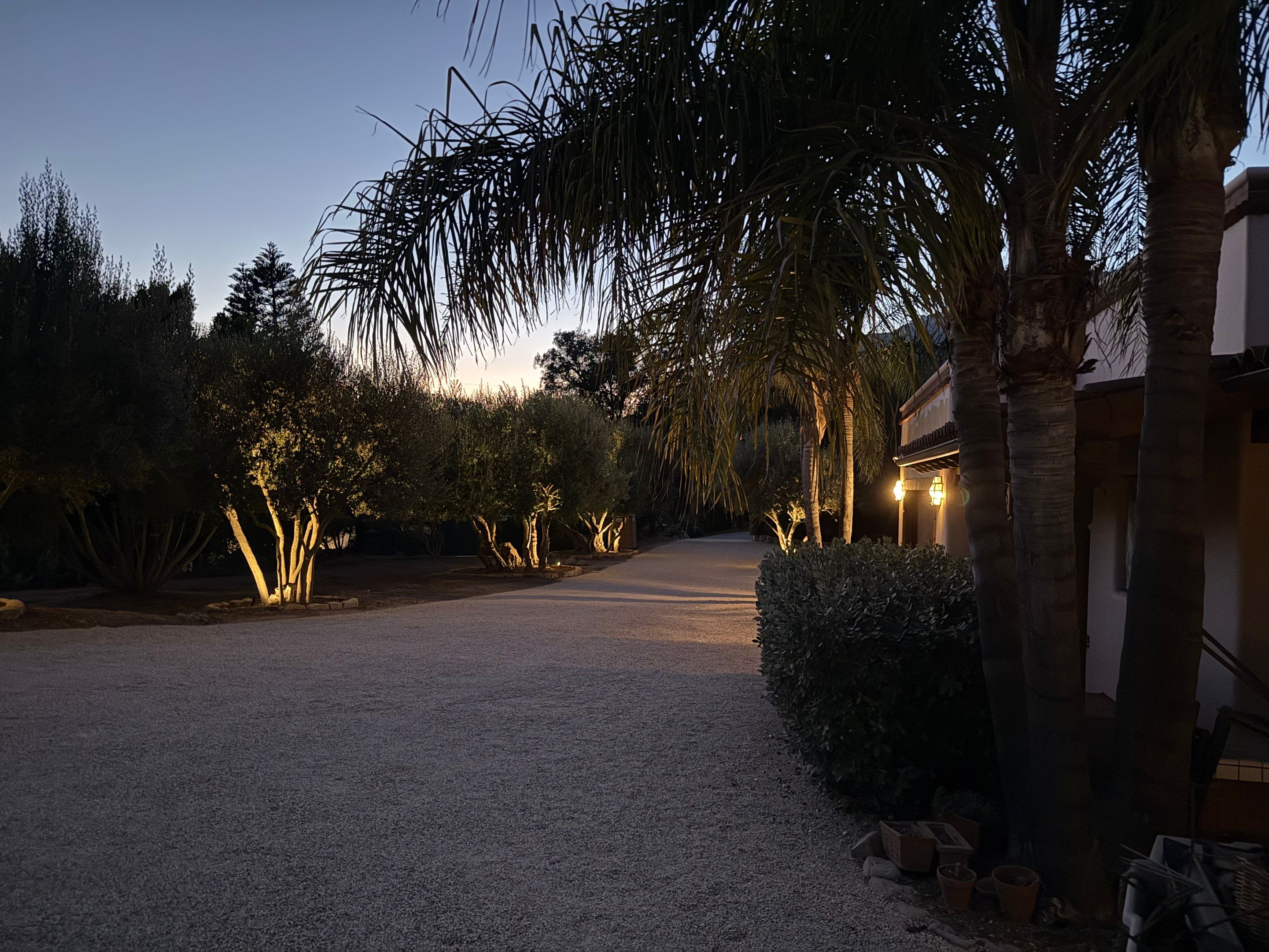 Estate driveway with landscape lighting at dusk